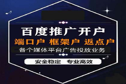 SEM广告投放的精准定位与优化案例
